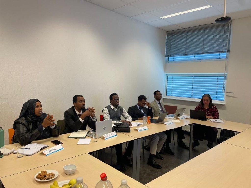 CURIOUS partners in discussion during a joint project working session